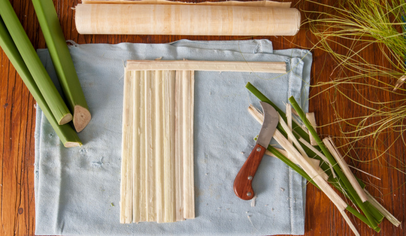 Making papyrus paper