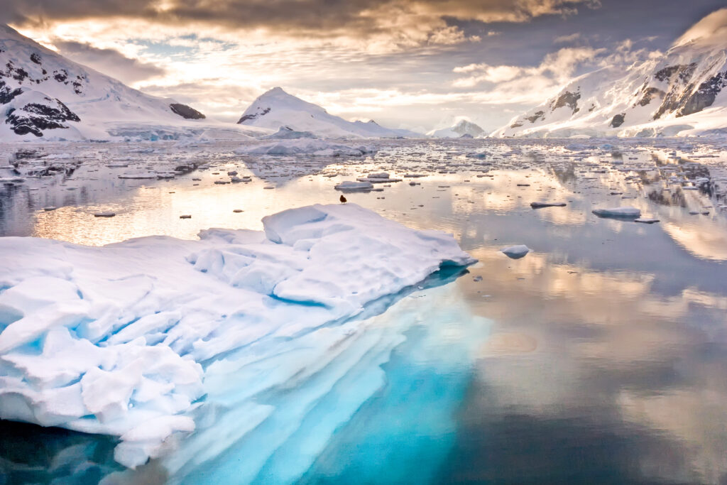 Paradise Bay Antarctica