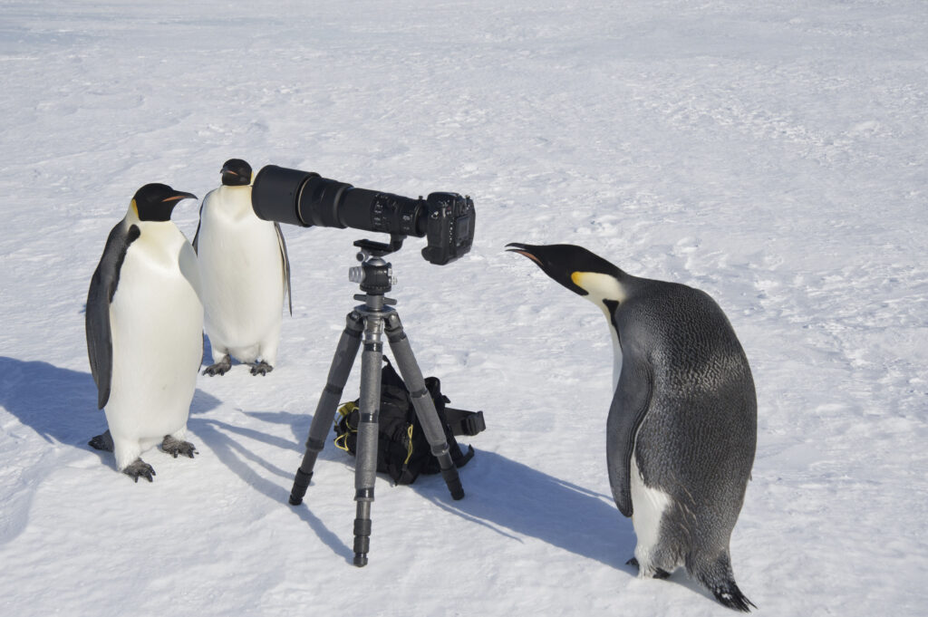 Camera practicing photography in Antarctica