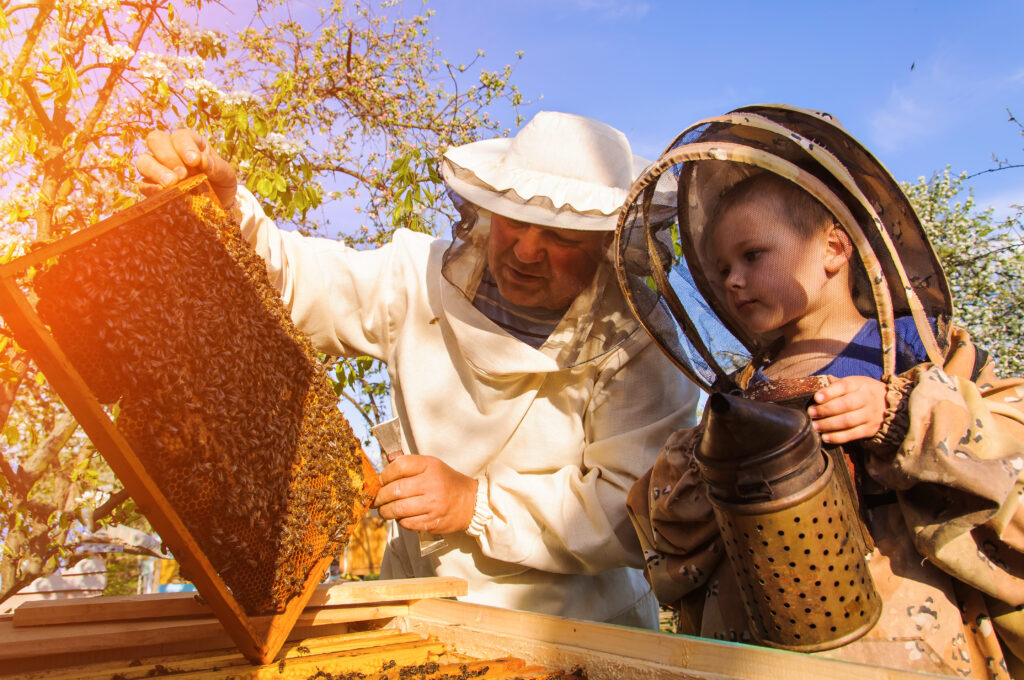 Beekeeping at Terre Blanche Hotel Spa Golf Resort, France