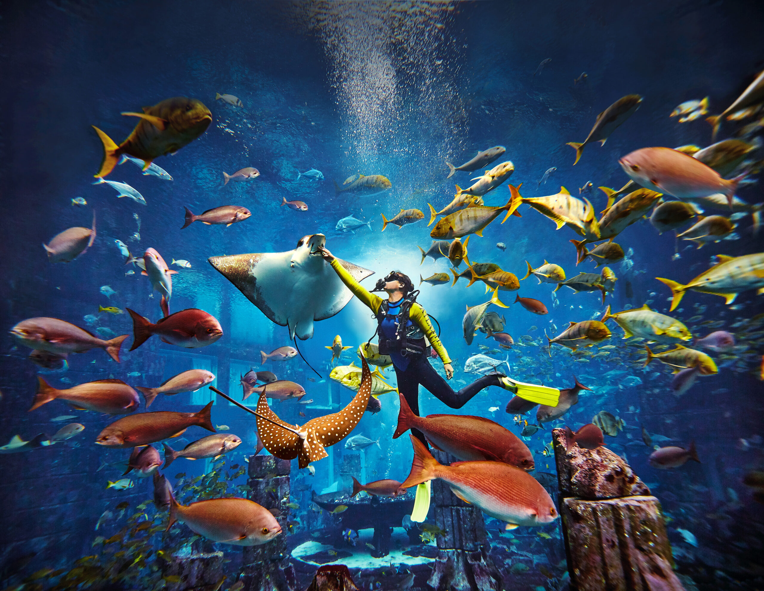 Dive into Atlantis Dubai: Unforgettable Underwater Luxury Experiences 