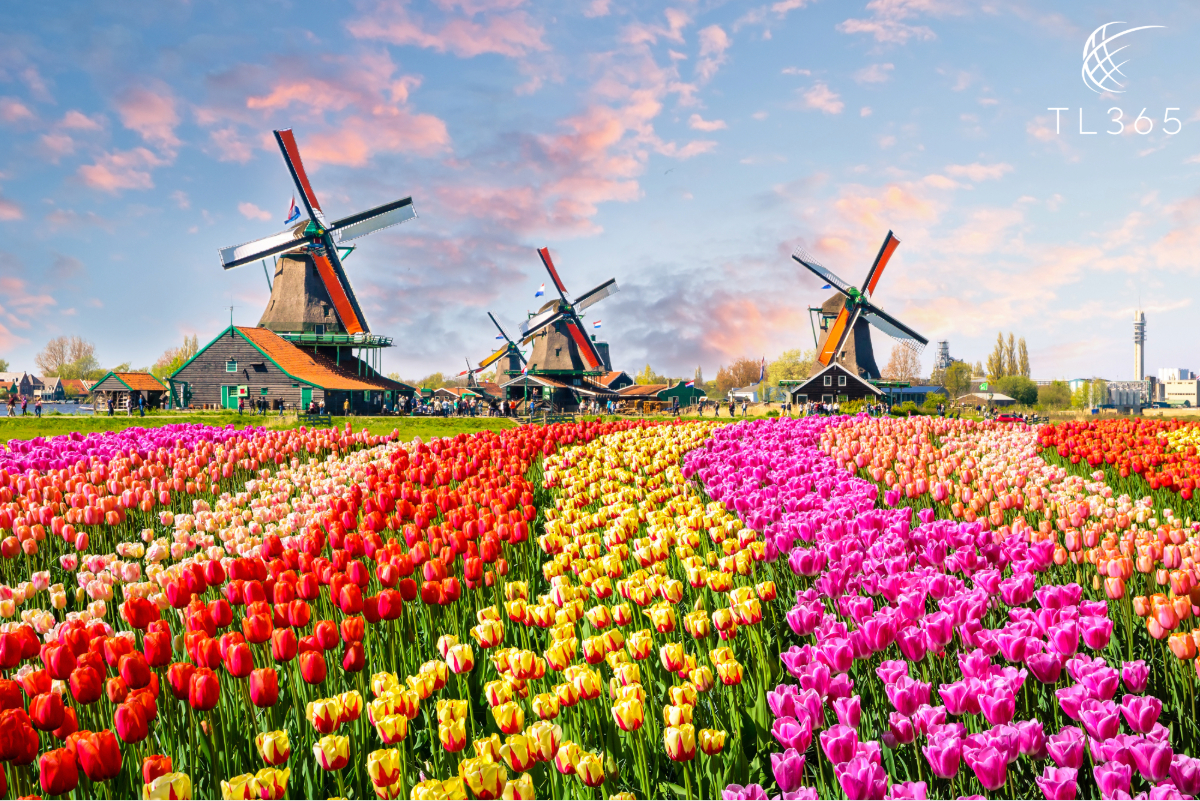 luxury accommodations in Amsterdam - travel offers