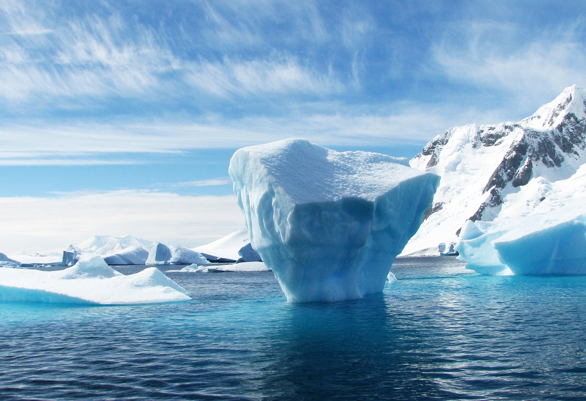 Polar